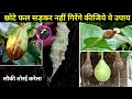 लौकी घिया, तोरई, करेला के छोटे फल सड़कर नहीं गिरेंगे कीजिए ये उपाय🔥Why do small fruit vegetables rot