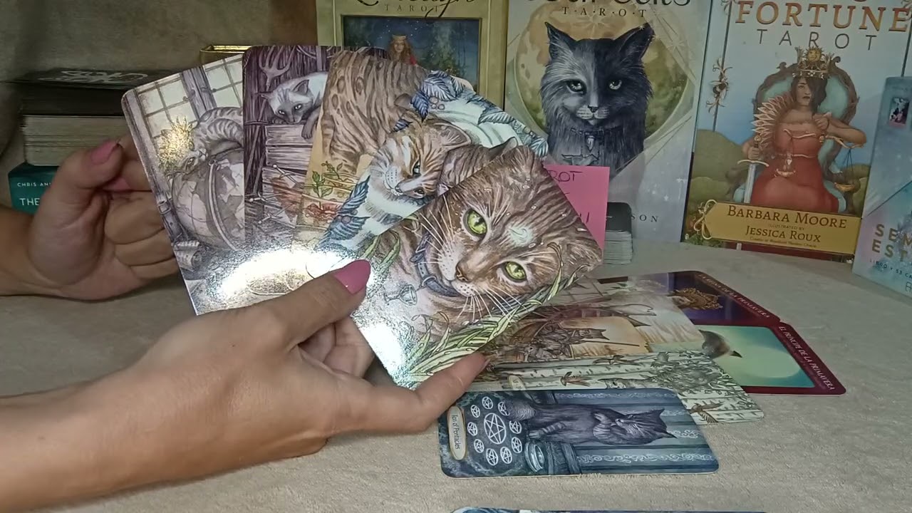 CÁNCER♋ ALGUIEN TE PIDE PERDÓN 💔  PREPARARTE ALGUIEN LLEGA POR UNA MANIFESTACIÓN ❤️‍🔥 MUCHO EXITO‼️💰