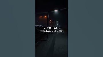 سورة النساء - الشيخ ياسر الدوسري #قرآن #القرآن_الكريم #قران_كريم #اكسبلور