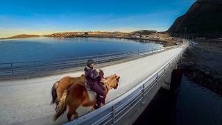 I Rode My Horses to the Grocery Store