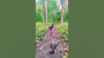A real life anaconda attack #vfx #snake #nagin #cobra #funny #anaconda #viralreels #viralvfx #snake