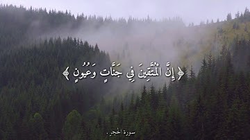 ﴿إِنَّ الْمُتَّقِينَ فِي جَنَّاتٍ وَعُيُونٍ﴾|هزاع البلوشي|أجمل حالات واتس اب دينية🍃 تلاوة مباركة.