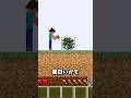 ダメージをくらうとニセモノになる世界…#マイクラ