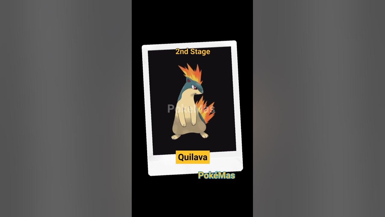 Evolution of Cyndaquil |#25|PokeMas| #pokemon