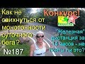 Как не свихнуться от монотонности суточного бега (№187)