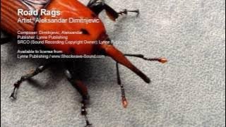 Road Rags - Aleksandar Dimitrijevic (Lynne Publishing)