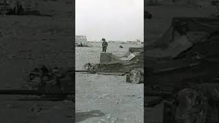 The Afrika Korps