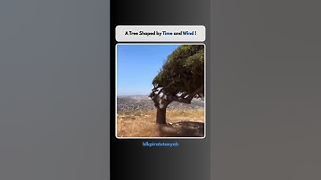 Power of Nature ♥️