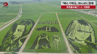 【速報】「翔んで埼玉」田んぼに登場 世界最大級アート、行田市