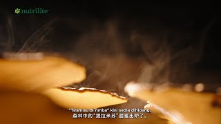 Ganoderma | How To Grow “Tiramisu” In The Forest
Let’s watch Mother Nature bake one of her favourite wellness wonders, Ganoderma.
View our Website: https://www.amway.my
Say HELLO: myhelpdesk@amway.my
Read all about Amway Malaysia: https://amwaynow.my
Follow us on Social:
https://www.facebook.com/amwaymalaysia
https://www.instagram.com/amwaymy
https://www.tiktok.com/@amway_my?_t=8rwu9M9ZNiB&_r=1 Ganoderma | How To Grow “Tiramisu” In The Forest