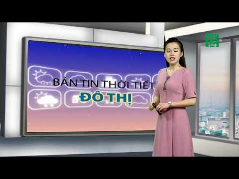 Video Thời tiết đô thị 01/08/2019: Hải Phòng mưa dông sẽ... - youtube