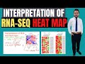Interpretation of RNA-seq heat maps