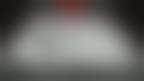 Those f**king Kolechians: papers please part 3