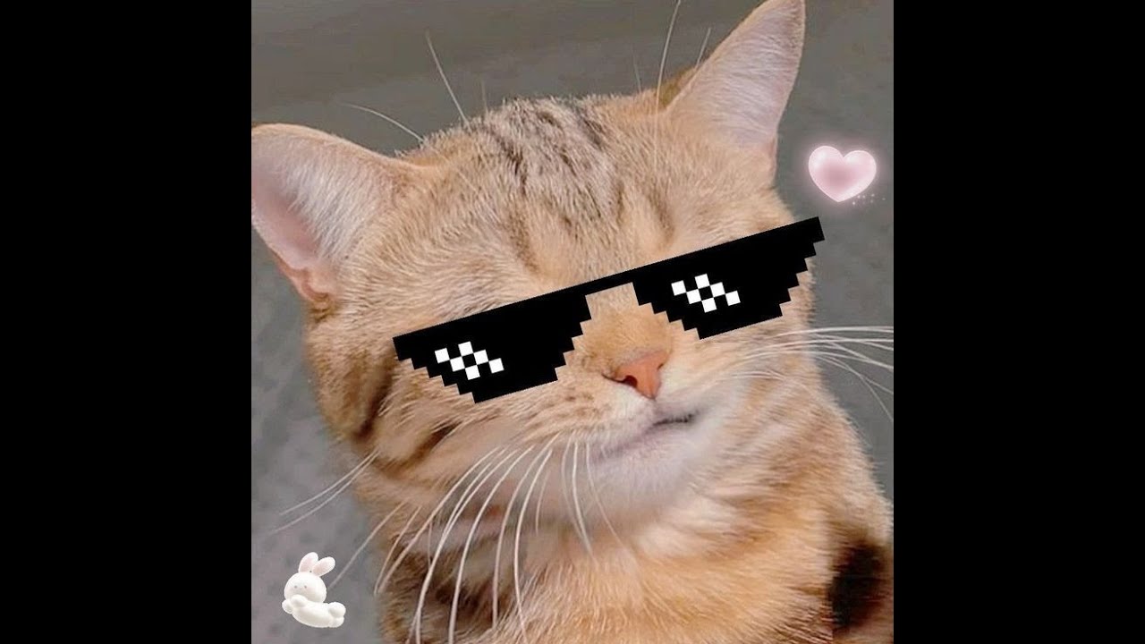 without limits / majesticrp