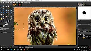 GIMP Tutorial in Sinhala