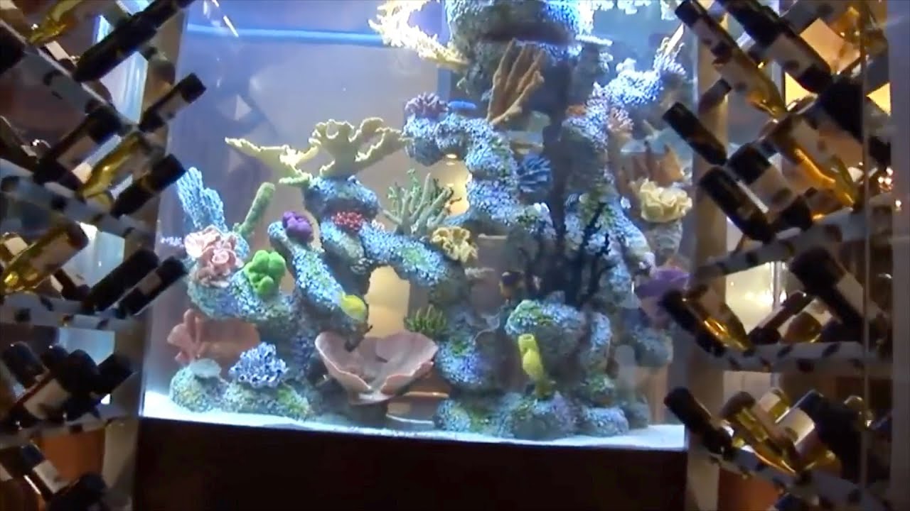 Bar Aquariums Truly Enhance a Space! 🍻 YouTube