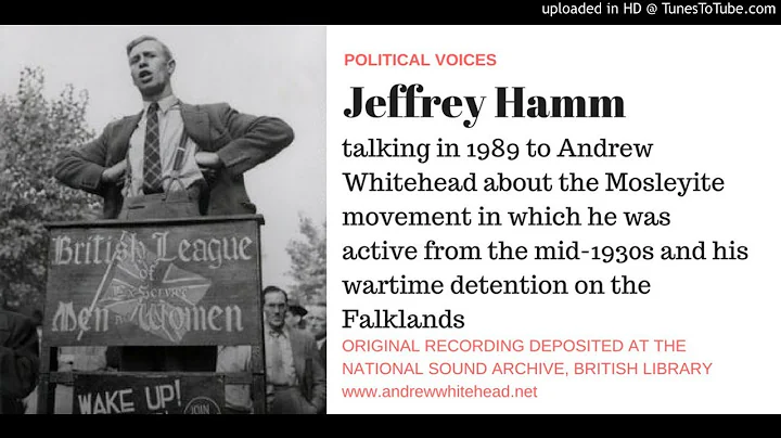 Political Voices -  Jeffrey Hamm