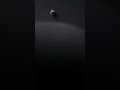 20241126