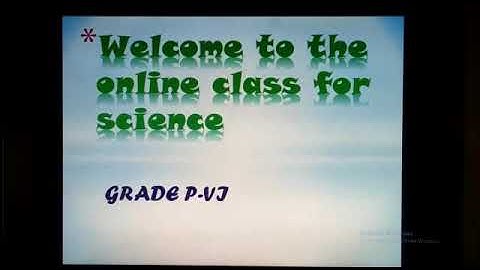 PVI SCIENCE LESSON # 30 (CHP#2 EXERCISE PAGE-32,33) Dated: 19/6/2020