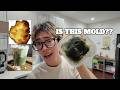 Home Cafe Recipe Testing GONE WRONG