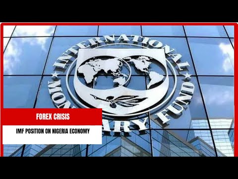 Forex Crisis: This Is What IMF Thinks About Nigeria's Economy