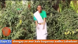 Dhaanto Cusub 2015 Jeceliyaa O.n.l.f