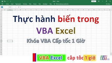Thực hành biến trong VBA Exce| NT Software