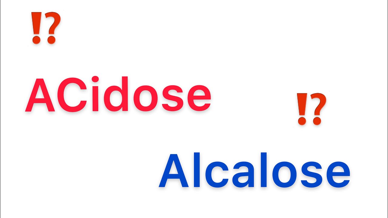 Comprendre L'Acidose et l'Alcalose Metabolique et Respiratoire en 20 min 🔥🔥 | khadidja ferdj