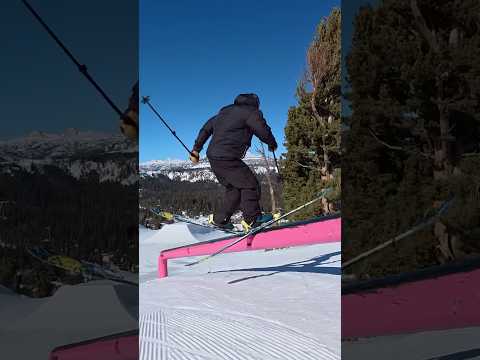 Comparing the Action