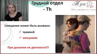 Влияние эмоций на грудной отдел позвоночника