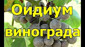 Полтавский Хуторок