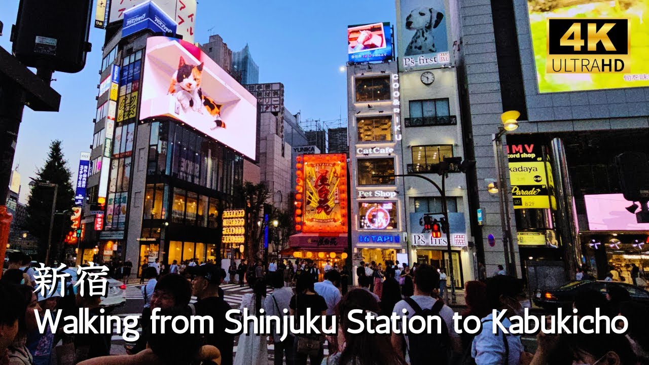 [ SHINJUKU ] How to walk from Shinjuku Station East Exit to Kabukicho Ichibangai 