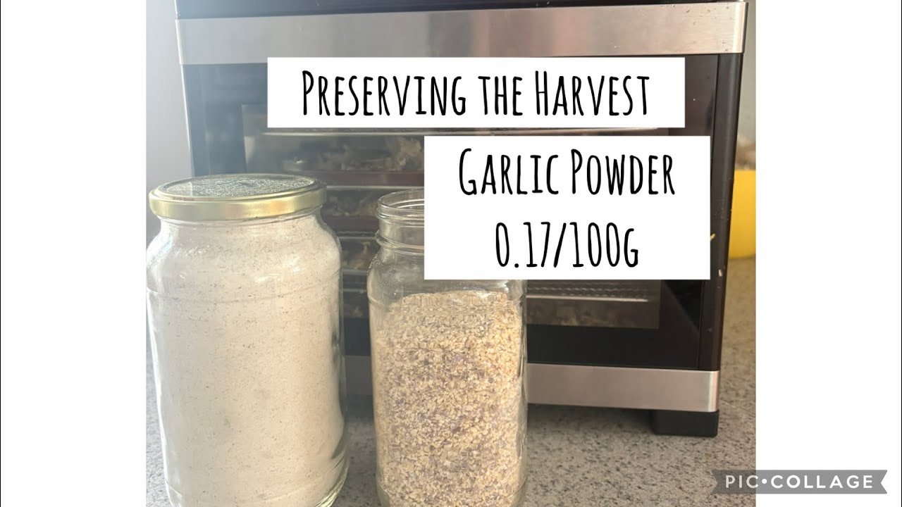Making Garlic Powder from homegrown garlic 🧄 