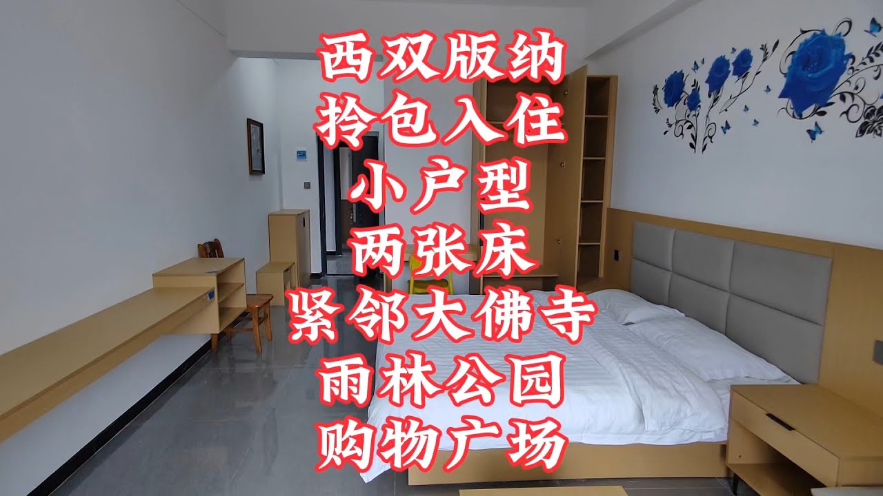 【小龙在版纳】西双版纳，拎包入住，小户型两张床。2024-8-23 - YouTube