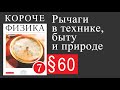 Физика 7 класс. §60 Рычаги в технике, быту и природе