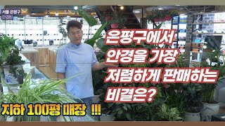 안경 많이 남는 거 맞습니다 안경공장쇼룸 증산점에서 합리적으로 구매하십시오