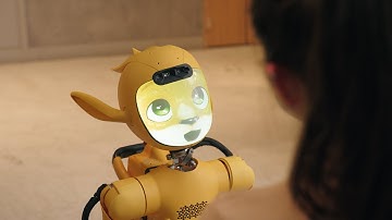 The Mirokaï robots at your service!