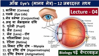 4.Eye Basic Structure in Hindi, Biology in Hindi by Nitin Sir Study91, Eye Related Question Answer