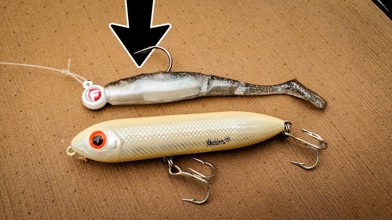 The Best Saltwater Lures For Pier Fishing, 55% OFF