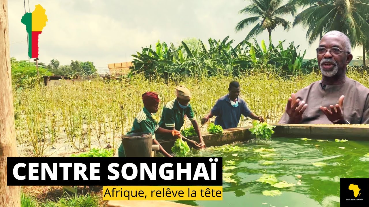 Visiter le Centre SONGHAÏ Bénin