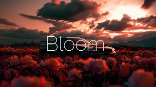Romantic- Bloom By ALLDIO ( Copyright Free Music )