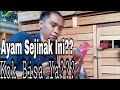 CARA MENJINAKAN AYAM GIRAS / LIAR | PERAWATAN AYAM GIRAS / LIAR [How To Tame Chicken]