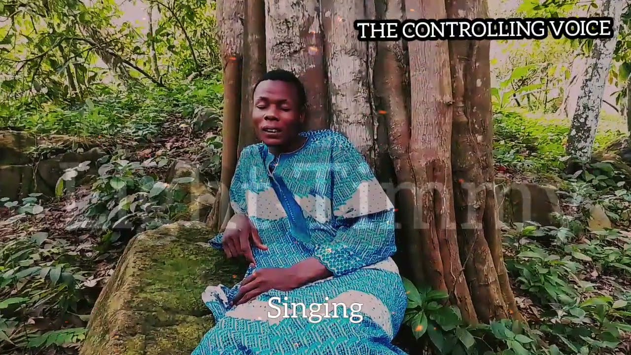 THE CONTROLLING VOICE