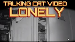TALKING CAT VIDEO - LONELY