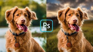 Instantly Remove the Background | Perfect dog hair selection | Photoshop Tutorial