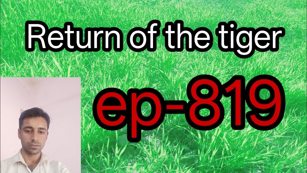 Ep-819 return of the tiger 🐅||return of the tiger story||tiger story||tiger hindi story||tiger 