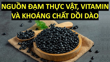 Đậu đen - Nguồn đạm thực vật, vitamin và khoáng chất dồi dào
