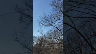 War plane flying by 1-28-19