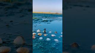 Creative Videography Tutorial