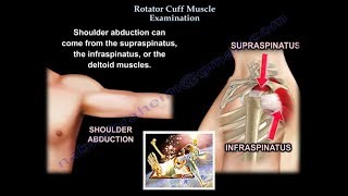 Rotator Cuff Muscle Examination  - Everything You Need To Know - Dr. Nabil Ebraheim